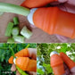 Thumb Knife Finger Silicone Thumb Cutter-Kitchen Set Knife,(pack of 2)Finger Thumb Cutter Silicone Kitchen Use,Quickly Cutting Protector Fruit And Vegetable Picker (Stainless Steel,)
