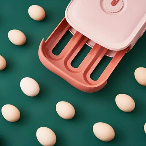 Drawer Type Egg Storage Box with Lid