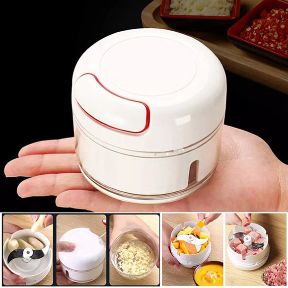 Mini Food Chopper