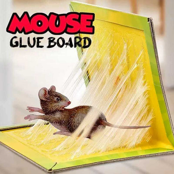(Pack of 5) Mouse And Rat Glue Trap Board